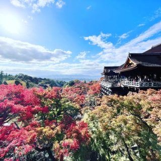 奈良から京都へ
水をめぐる旅が続く

京都では家族と合流して、メモリアルのお祝い旅行も兼ねて。

秋の紅葉の時期は、混雑するのであえて避けていたけど。

寺院と紅葉の美しさにはため息がでる。

美味しいものをいただいて、毎日一万歩以上歩く。昨日はなんと2万5000歩。

日本ってこんなに美しいんだな、、と改めて思います。

今日も沢山歩くだろうな、、😆

今日はどんな景色と美味しいものに会えるかな？

#奈良　#京都　#紅葉の旅